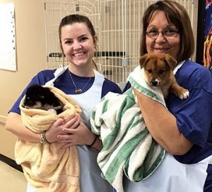 Dean Liz Wilson of the School of Business Administration, at right, stands with a GSW student while they dry puppies after bathing them at the Sumter Humane Society. 